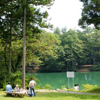 櫛形山県民の森伊奈ヶ湖