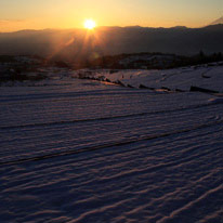 棚田風景