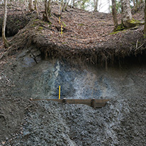 程野の中央構造線露頭