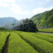 鉄道（大井川鐵道とＳＬ）